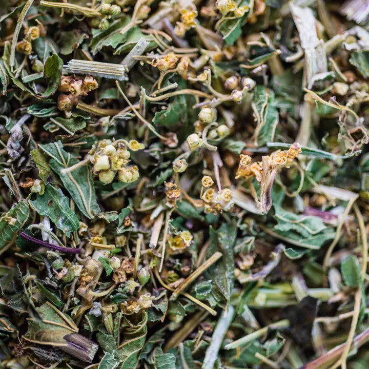 Infusion Reine des Prés BIO Sommité Fleurie 40 g – Comptoir d’Herboristerie