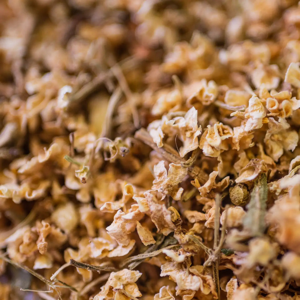 Organic Elderflower Infusion 30g – A Traditional Infusion with Soothing Virtues 