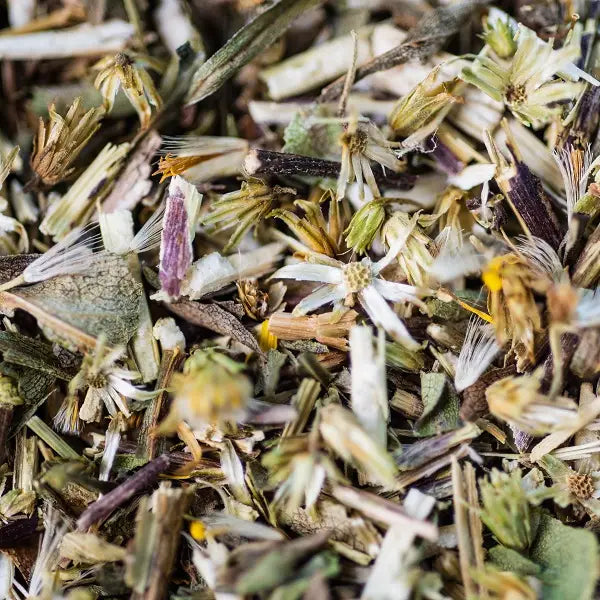 Infusion Verge d’Or BIO Partie Aérienne 30 g – Comptoir d’Herboristerie