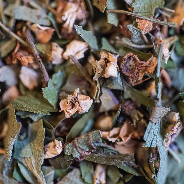 Organic Hawthorn Flower and Leaf Infusion 40g – A Soothing Infusion for the Heart and Mind 