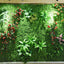 Plantes Murales Décoratives – Élégance Naturelle à Votre Porte