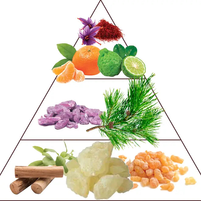 Crème parfumée pour les mains Molecule Tobacco 50 ml– Preparfumer