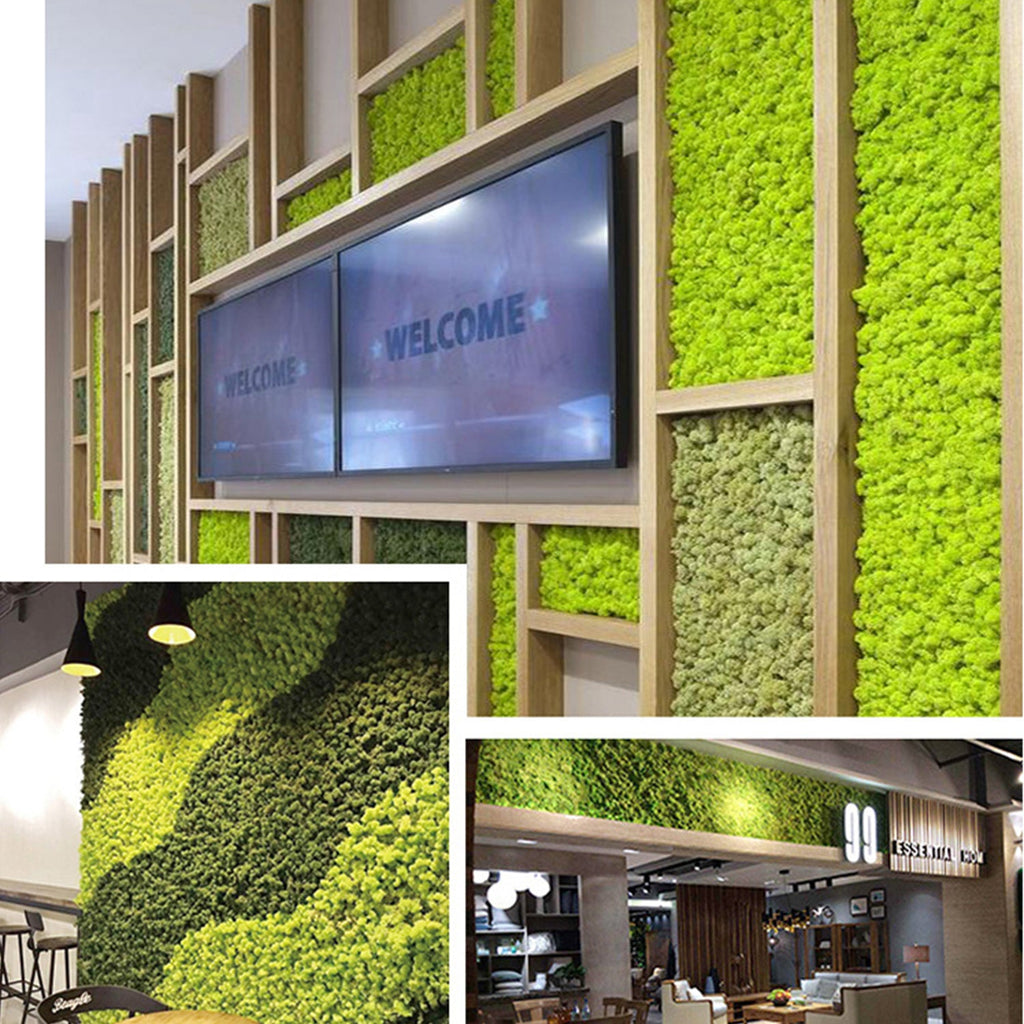 Konserviertes Moos Wanddekor