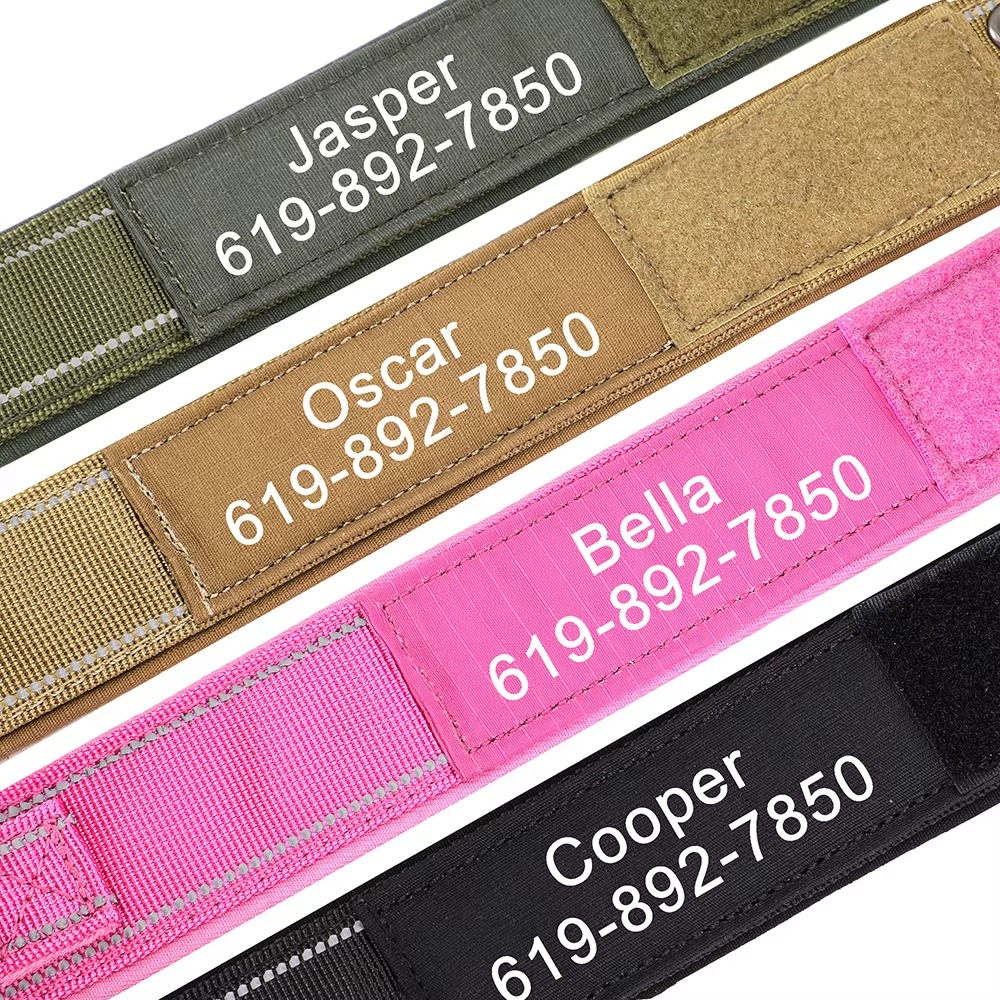 Collier Militaire Personnalisé pour Chien – Nylon Résistant & Réglable