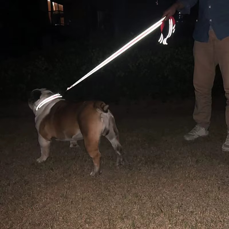 Collier Harnais Réfléchissant pour Chiens & Chats
