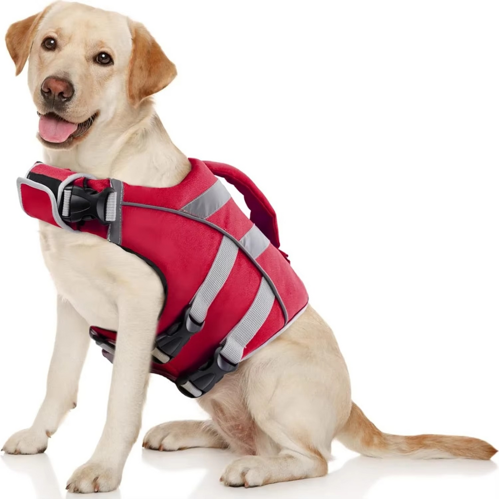 Gilet de Sauvetage pour Chiens – Natation et Sécurité