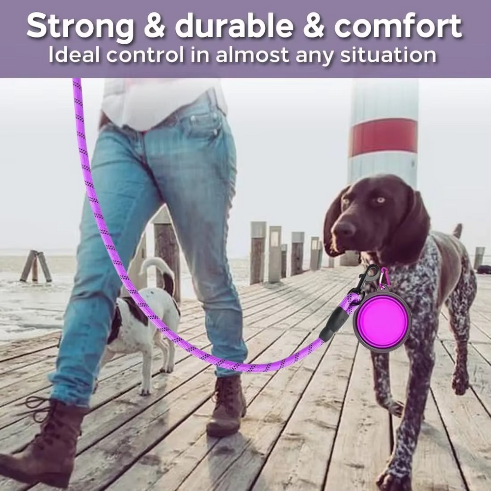Laisse Solide pour Chien – Réfléchissante et Durable
