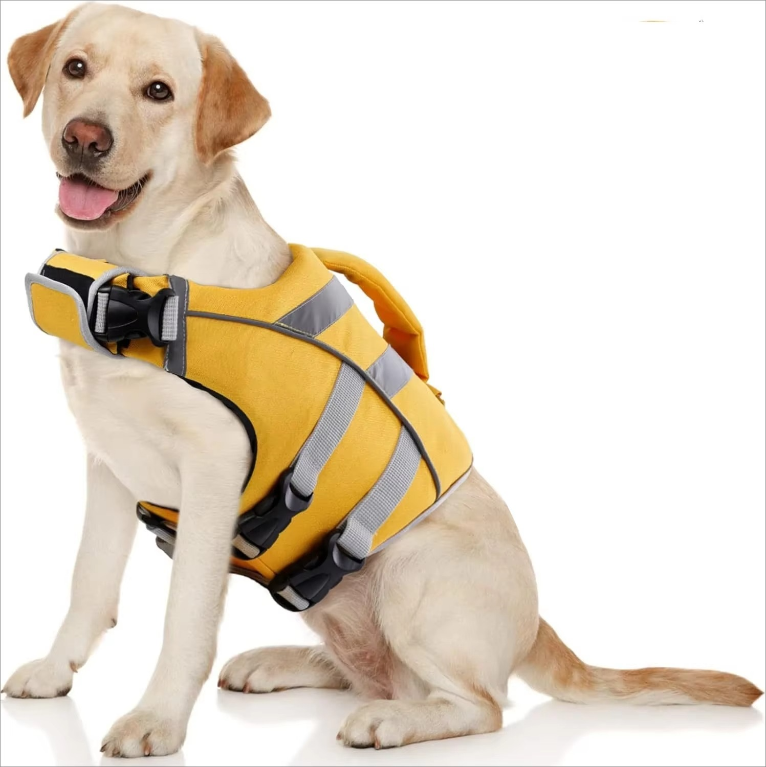 Gilet de Sauvetage pour Chiens – Natation et Sécurité