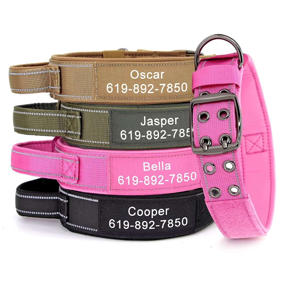 Collier Militaire Personnalisé pour Chien – Nylon Résistant & Réglable
