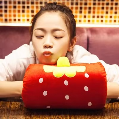 Oreiller Sieste & Coussin Chauffant Mignon