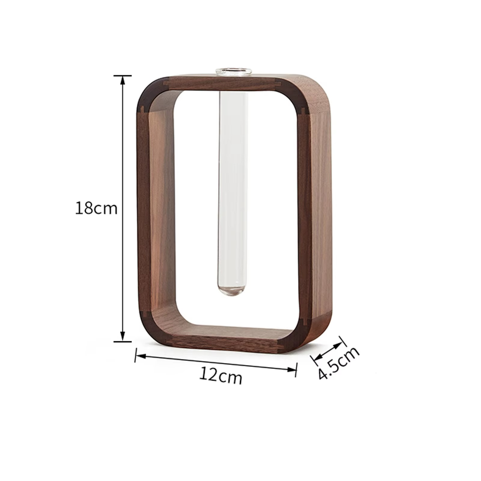 Plante Hydroponique en Verre avec Support Rectangulaire en Bois Massif – Décoration Rétro