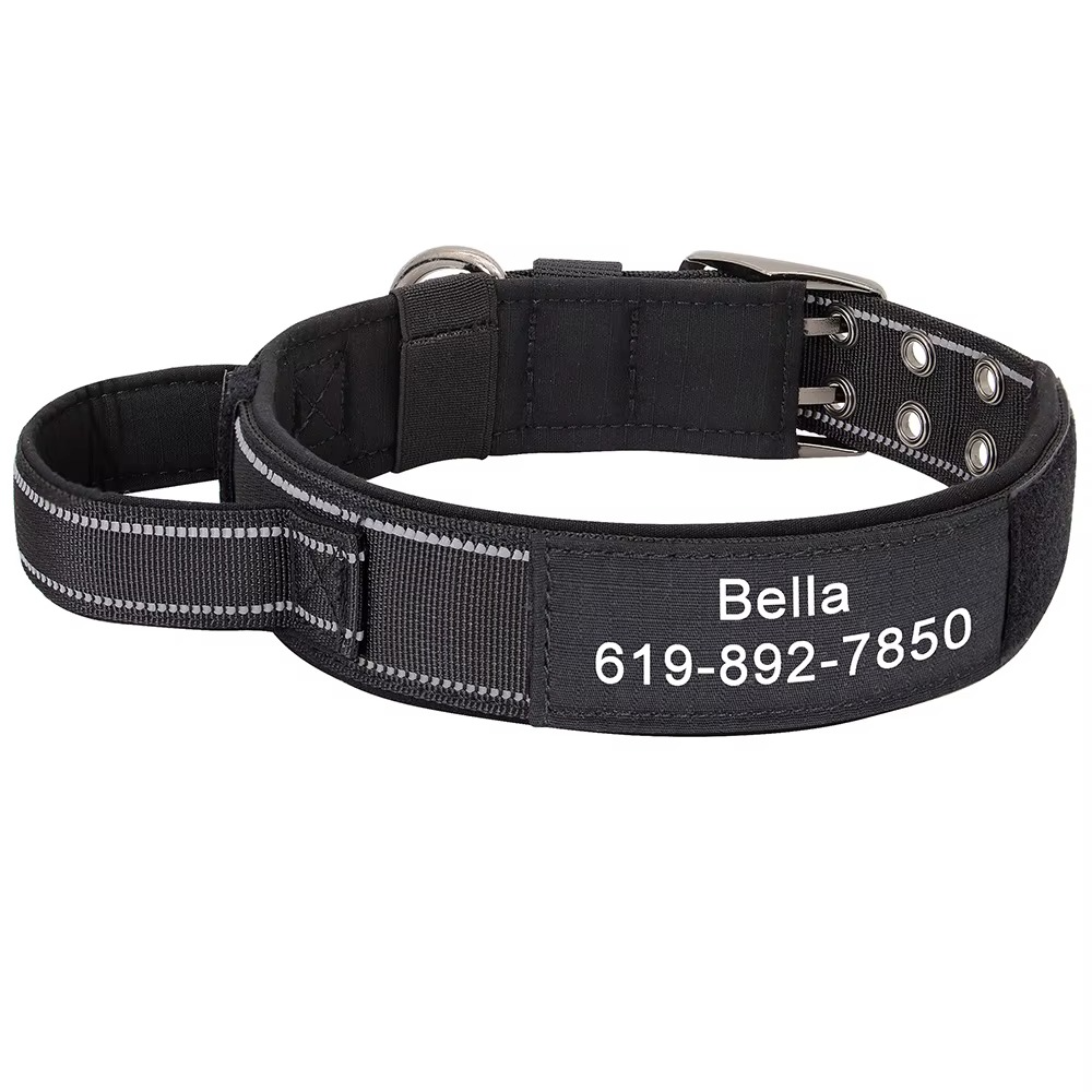 Collier Militaire Personnalisé pour Chien – Nylon Résistant & Réglable