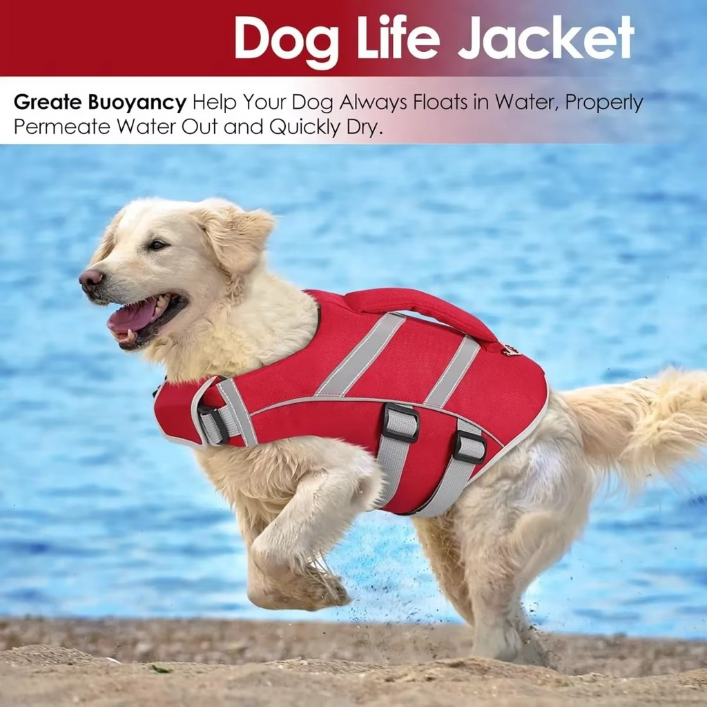 Gilet de Sauvetage pour Chiens – Natation et Sécurité