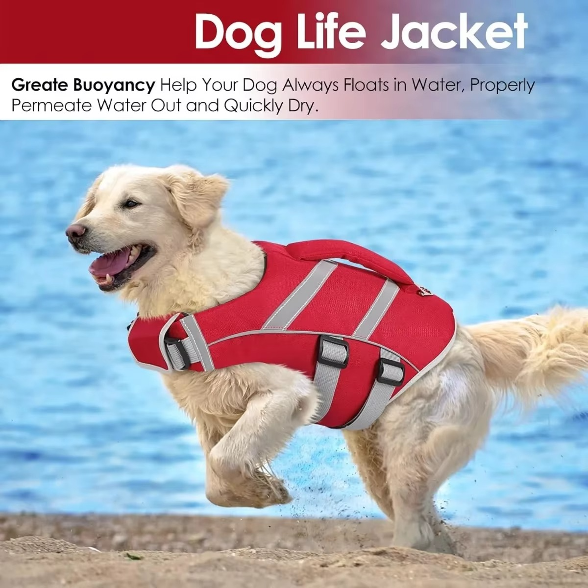 Gilet de Sauvetage pour Chiens – Natation et Sécurité