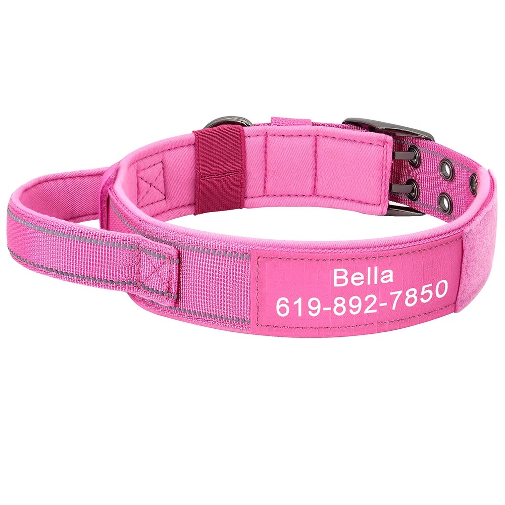 Collier Militaire Personnalisé pour Chien – Nylon Résistant & Réglable