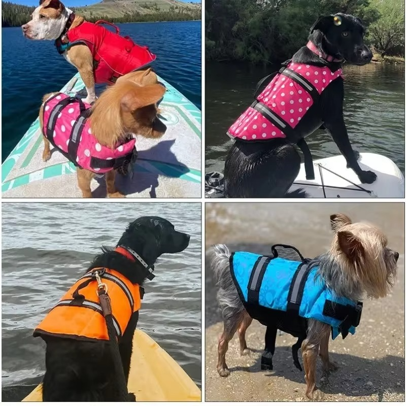 Gilet de Sauvetage pour Chien – Flottabilité Sécurisée pour la Plage