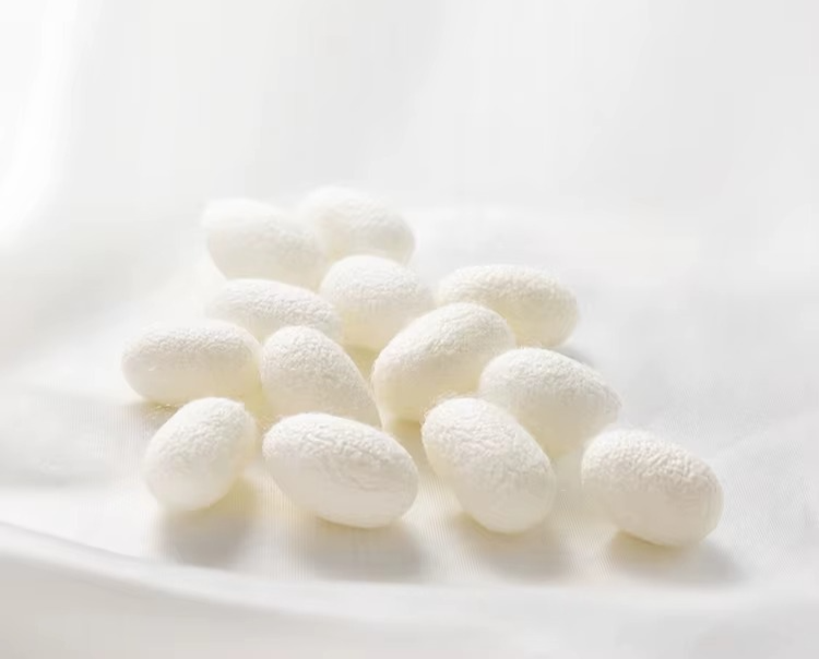 Oreiller Mulberry en Velours et Coton – Confort 5 Étoiles