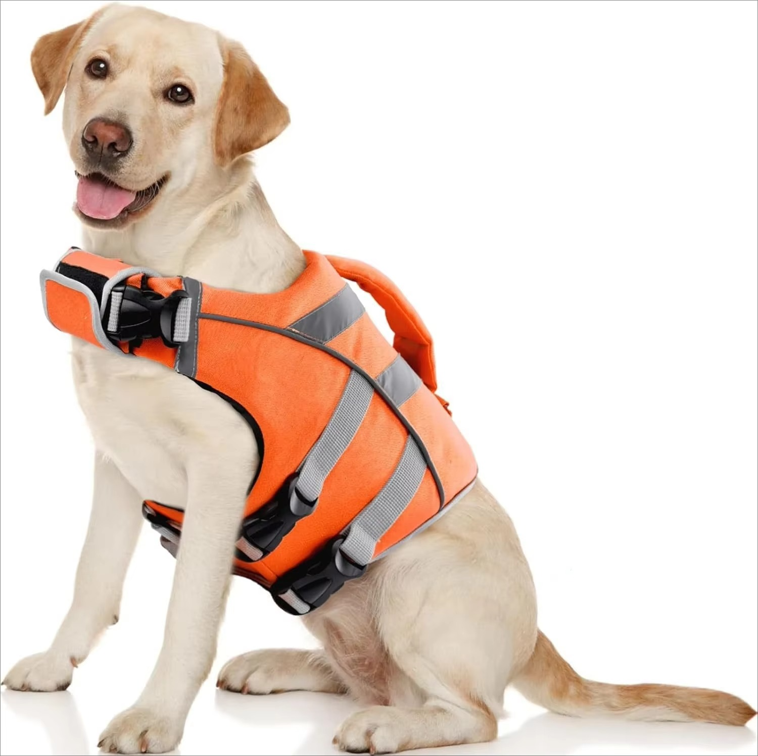 Gilet de Sauvetage pour Chiens – Natation et Sécurité