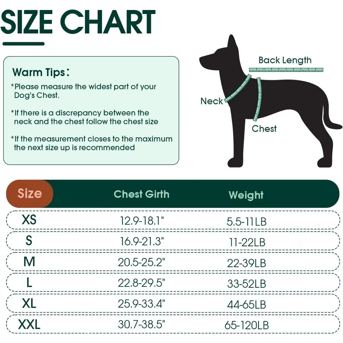 Gilet de Sauvetage pour Chiens – Natation et Sécurité