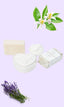 Provencal Soap Pack - Orange Blossom, Crushed Lavender, Jasmine and Teddy Bear Soap