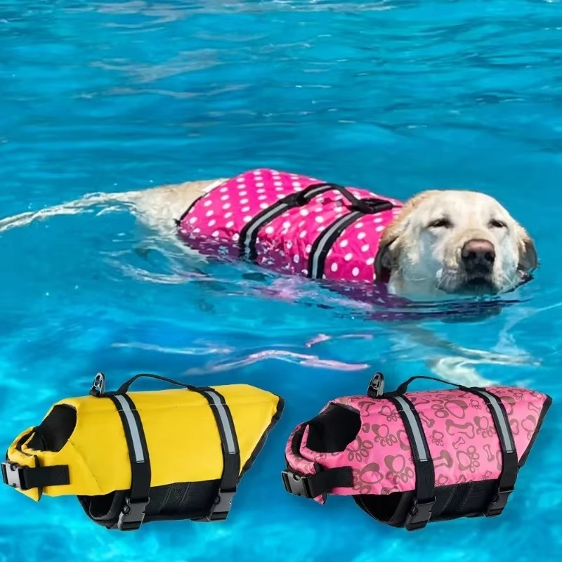 Gilet de Sauvetage pour Chien – Flottabilité Sécurisée pour la Plage