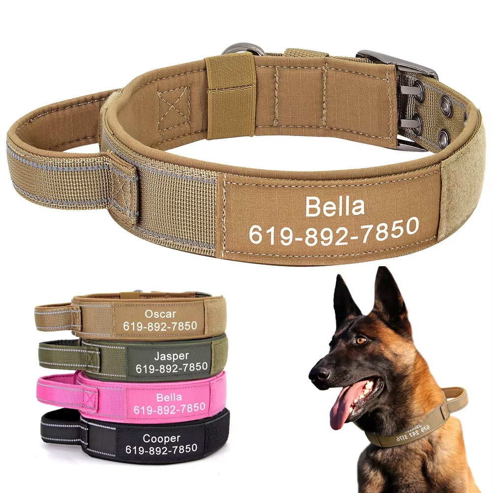 Collier Militaire Personnalisé pour Chien – Nylon Résistant & Réglable