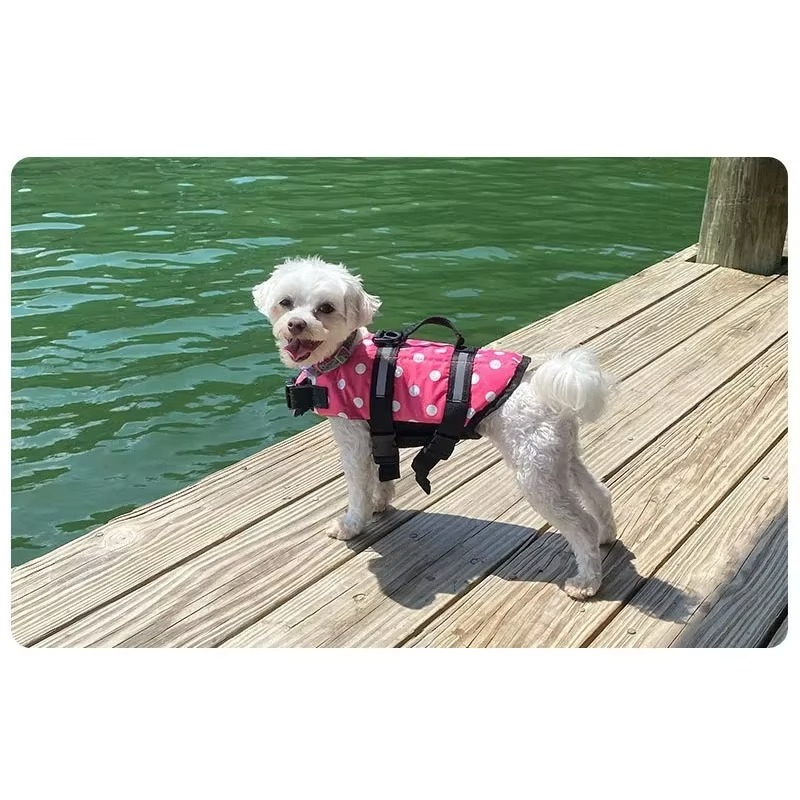 Gilet de Sauvetage pour Chien – Flottabilité Sécurisée pour la Plage