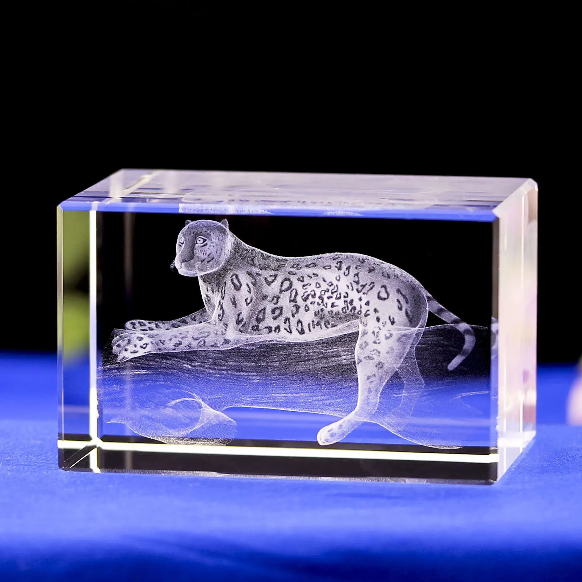 Mini Sculpture Animalière en Cristal 3D – L’élégance gravée dans la transparence