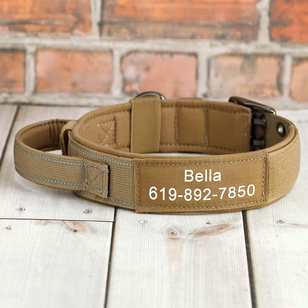 Collier Militaire Personnalisé pour Chien – Nylon Résistant & Réglable