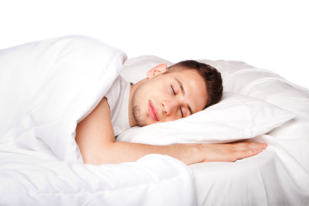 Sleep'n Beauty Men's Silk Pillowcase Set - Climsom