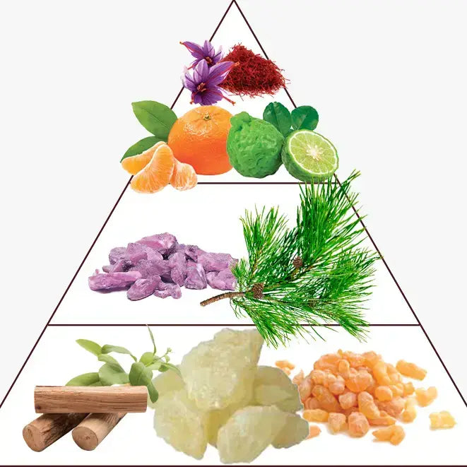 Parfum Molecule Tobacco 16 ml avec boîte – Preparfumer