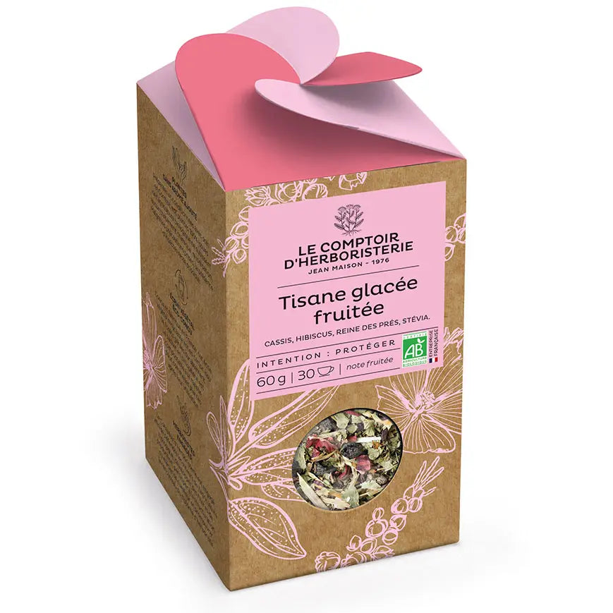 Tisane Glacée Fruitée Bio 60g
