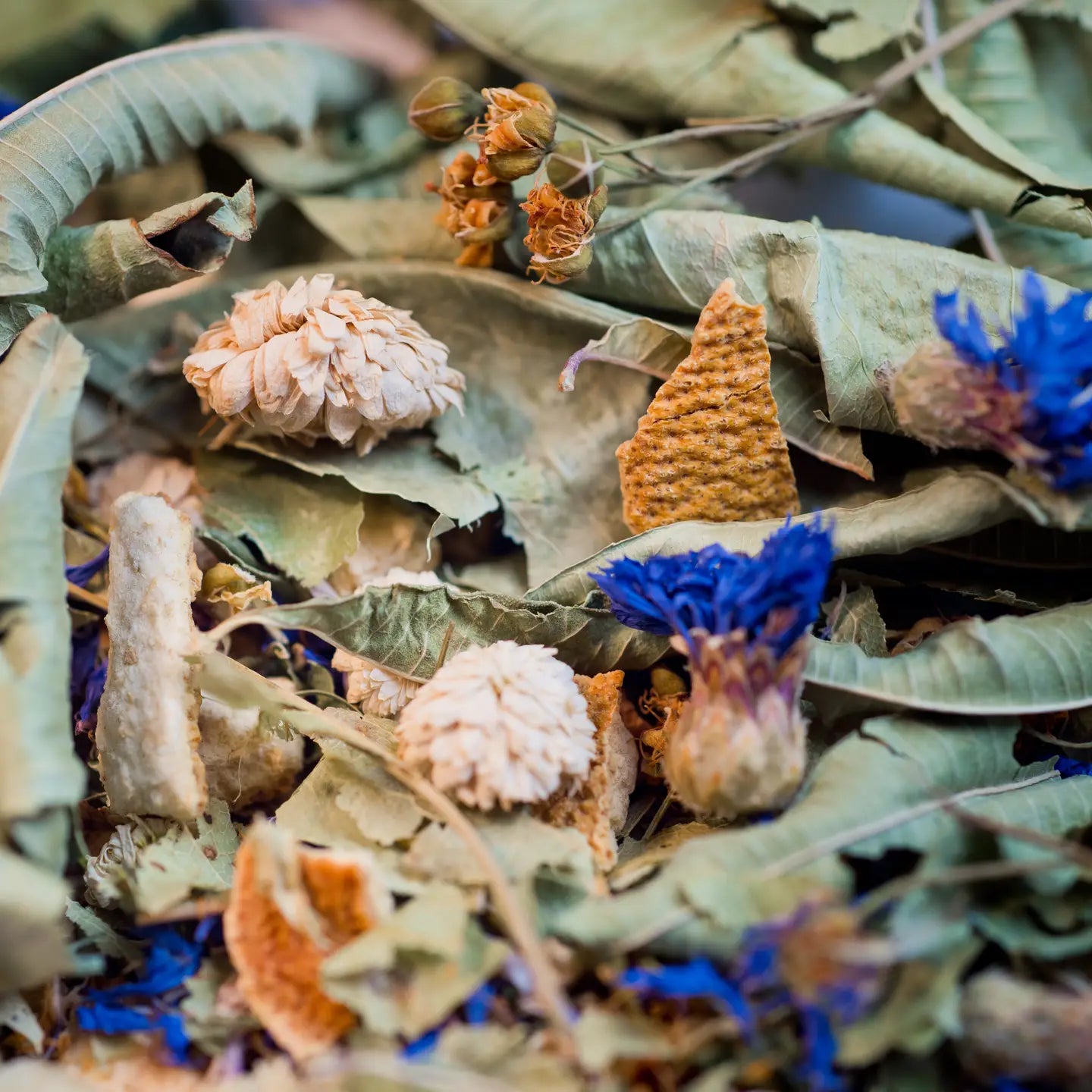 Tisane La Traditionnelle Bio 25G / 100G  – Une Infusion Douce et Apaisante pour Vos Soirées