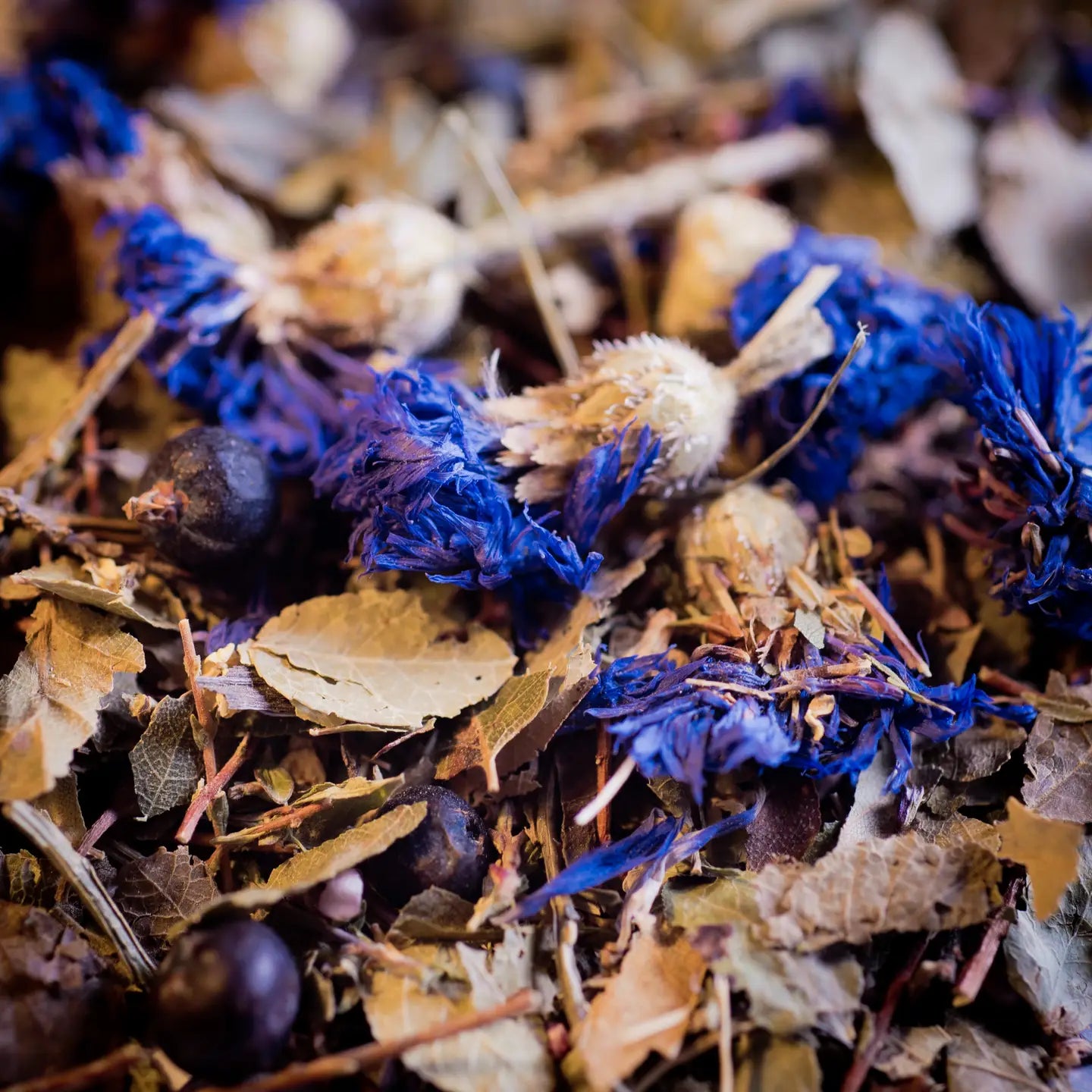 Organic Urinary Tract Herbal Tea 50g – Natural Support for Urinary Comfort 