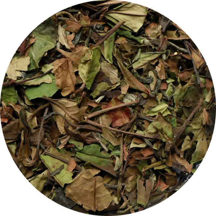 Thé Blanc Velours Fruité Bio