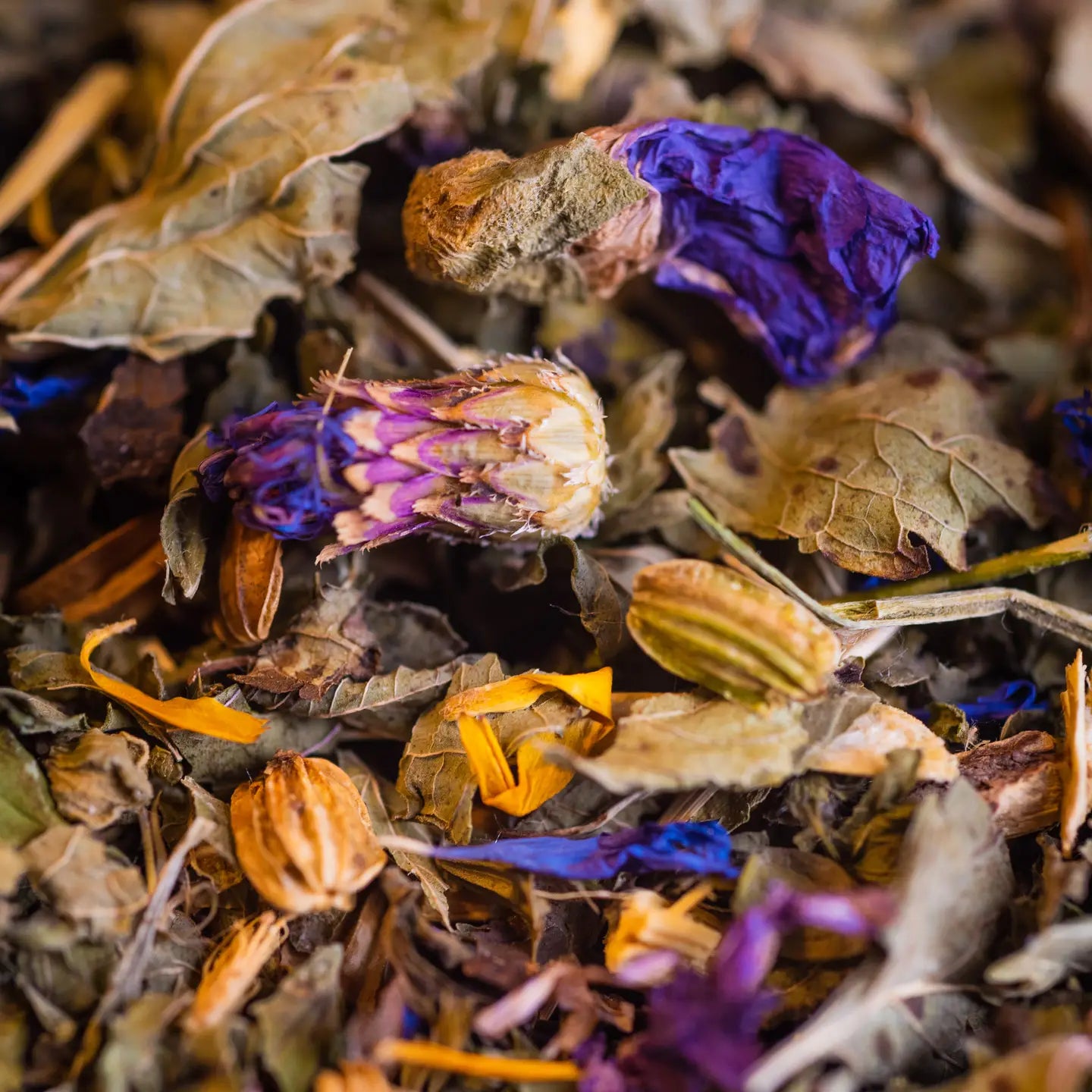 Tisane de la Famille Bio 50g / 200g – Une Infusion Apaisante et Savoureuse pour Toute la Famille