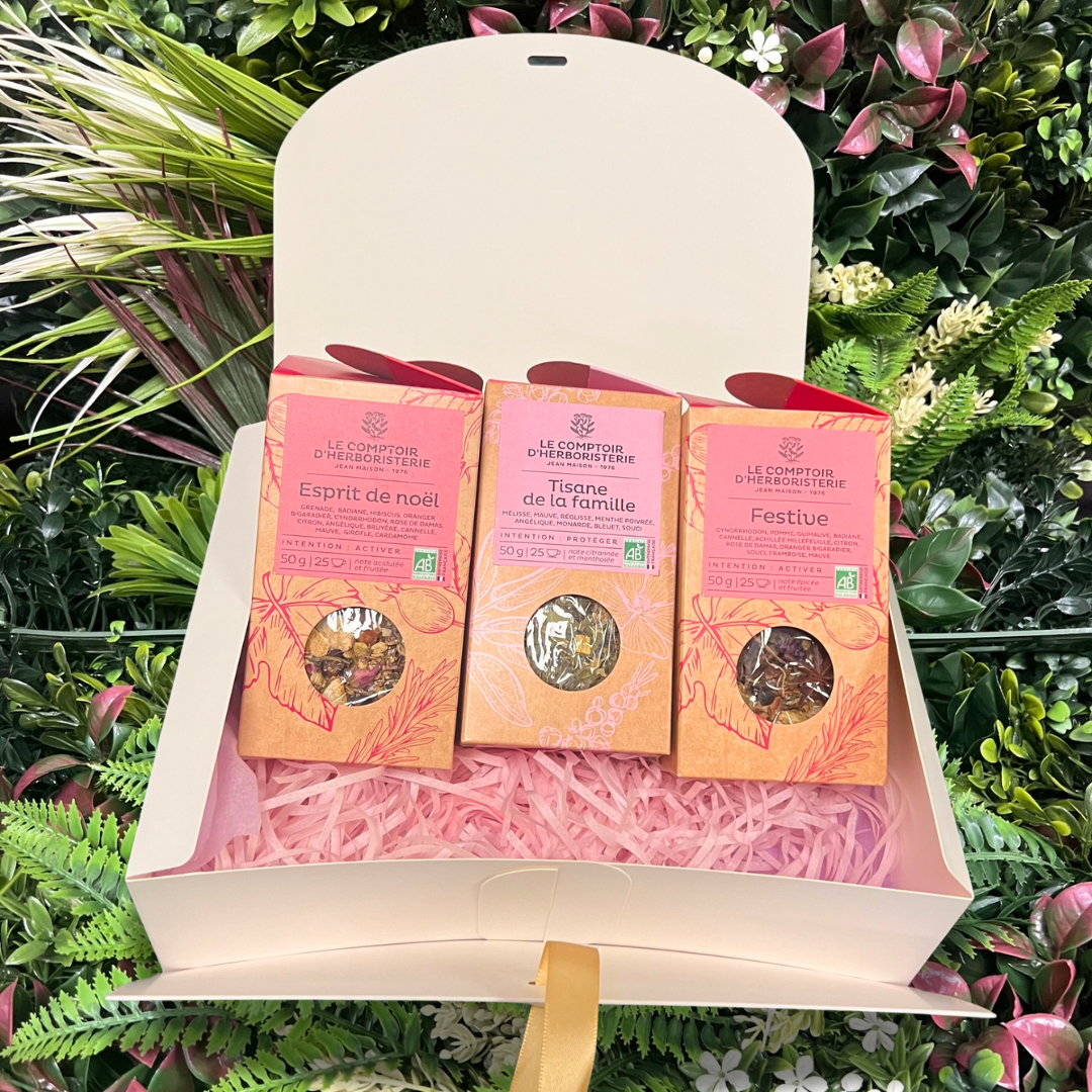 Entdeckerbox mit Bio-Kräutertees - Weihnachtsstimmung, Familienkräutertee und Festtagstee
