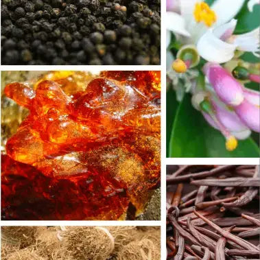 Blanche Musk Perfume - Preparfumer