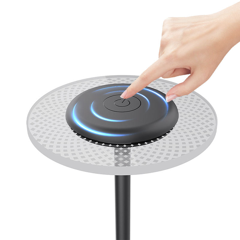 Lot de 2 Lampes de Table LED Multicolores