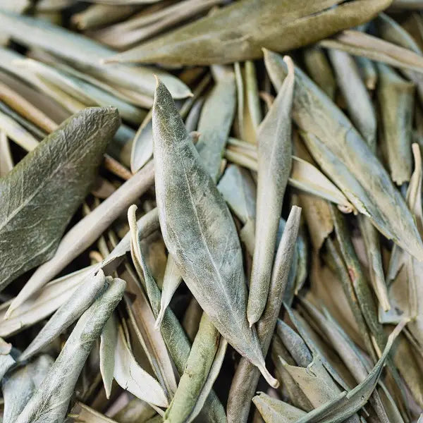 ORGANIC OLIVE LEAF INFUSION 40G