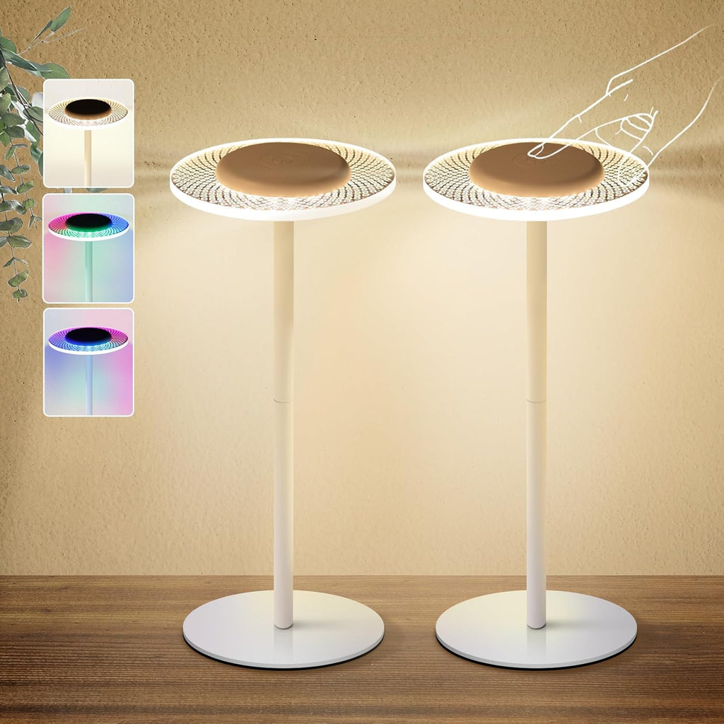 Lot de 2 Lampes de Table LED Multicolores