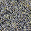 Dried Lavandin Flowers in Bulk (1kg) - Nicolosi Créations 