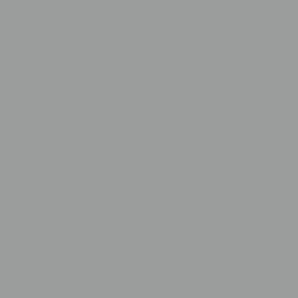 Abri de jardin avec toit prolongé acier anthracite 277 × 110cm Gris