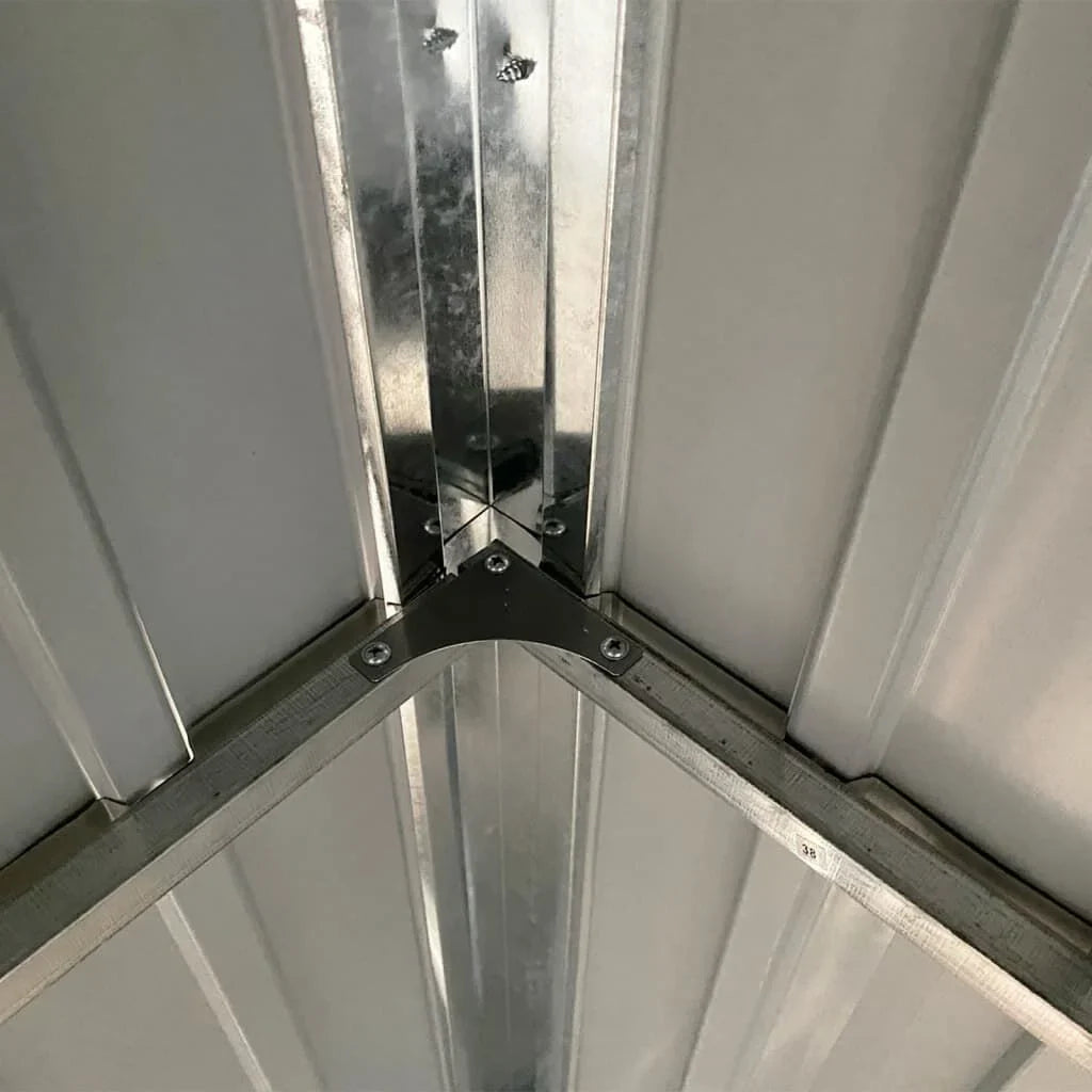 Abri de jardin avec toit prolongé acier anthracite 277x110cm Marron Clair