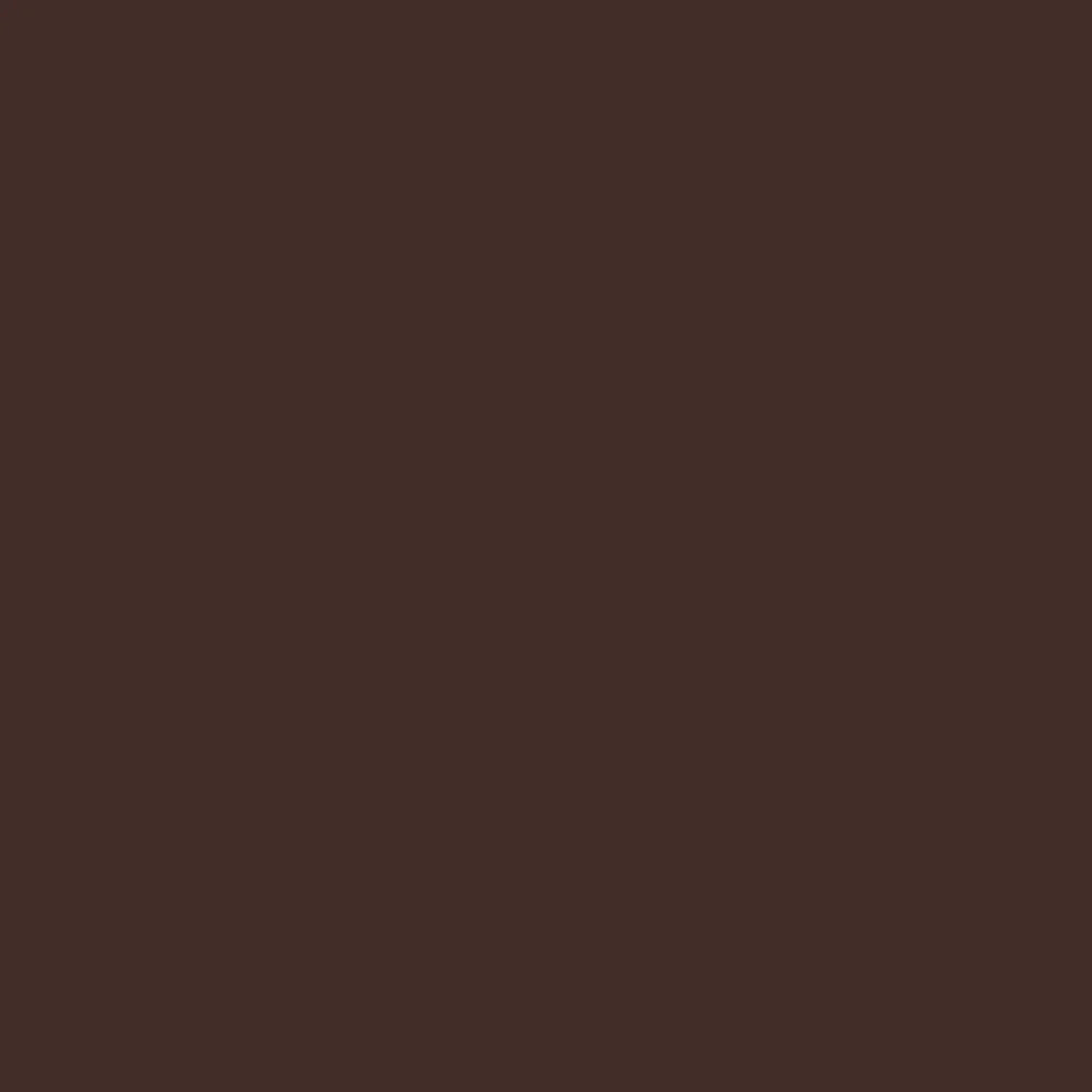 Abri de jardin avec toit prolongé acier anthracite 277 × 110cm Marron