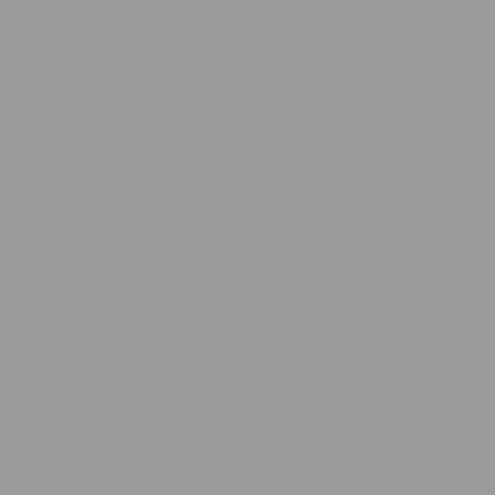Abri de jardin acier gris clair 191 × 130 × 198 cm