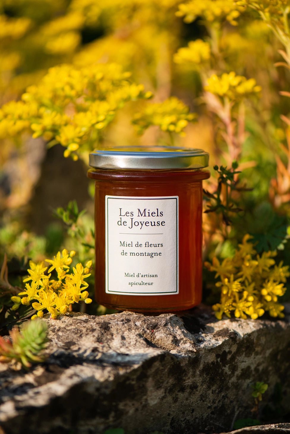 Miel de fleurs de montagne