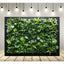 Polyester Blend Artificial Plant Canvas - Hanging Wall Decor