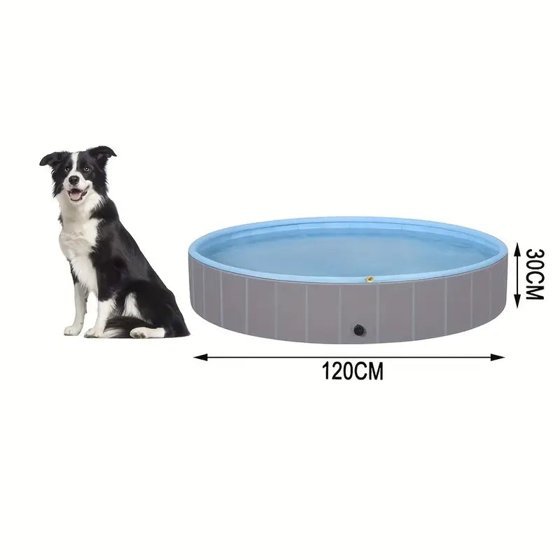 Piscine Portable Antidérapante pour Chien