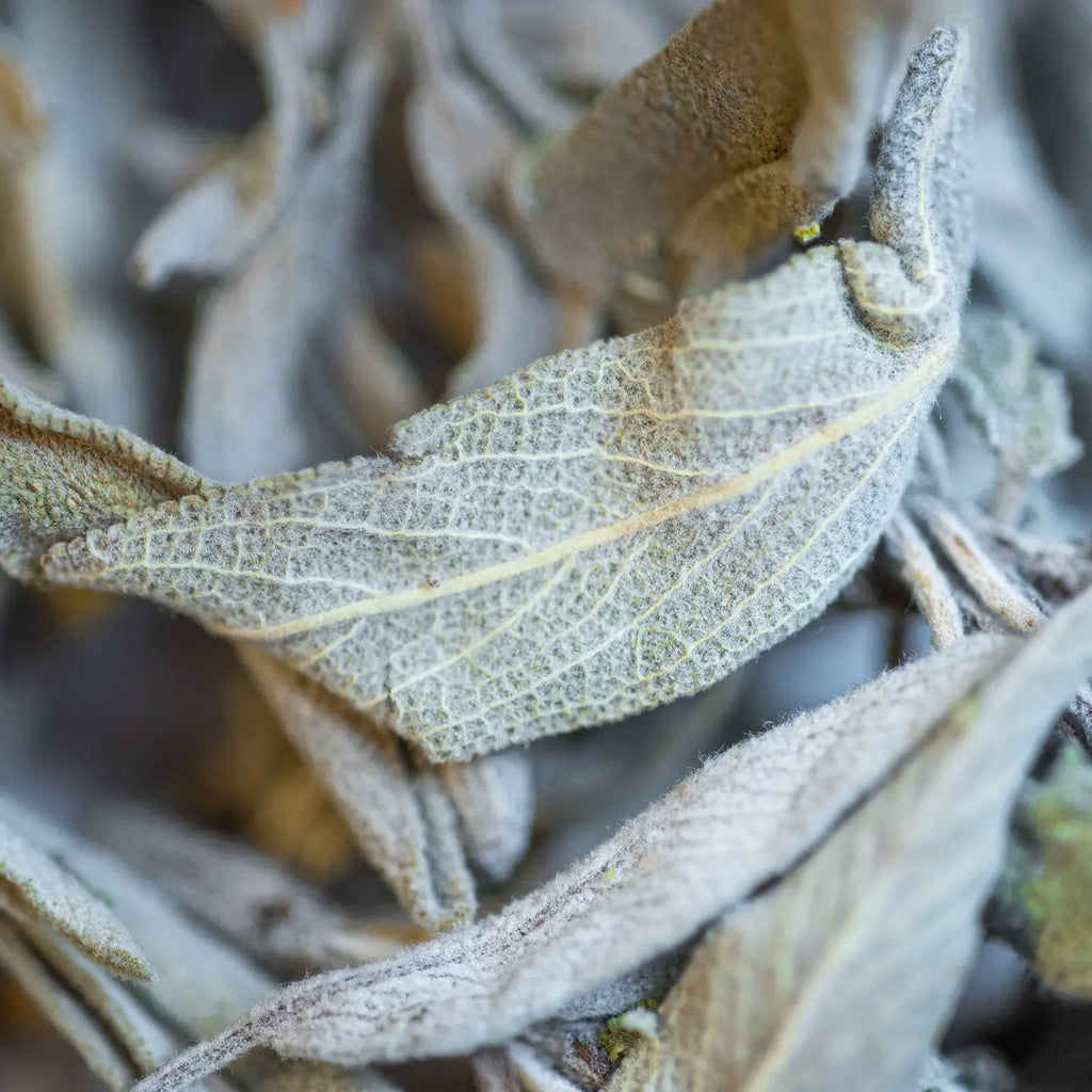 INFUSION SAUGE BIO FEUILLE 25G